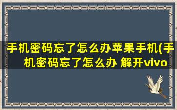 手机密码忘了怎么办苹果手机(手机密码忘了怎么办 解开vivo)